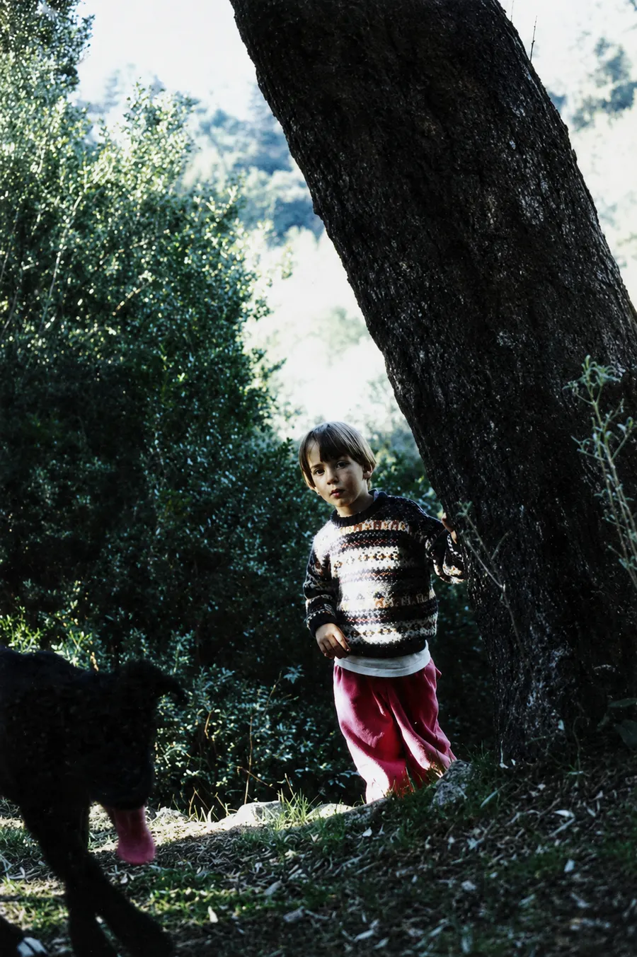 Miguel de niño junto a un gran árbol en el campo mallorquín, con un perro en primer plano